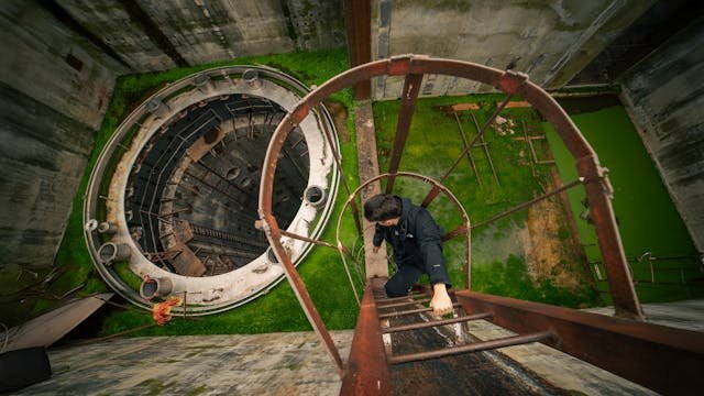 Yaşam Koçluğu Eğitimi